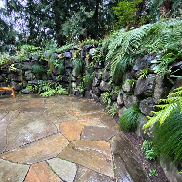 The weeping wall at Heronswood Garden